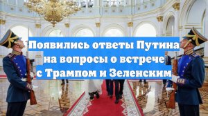 Появились ответы Путина на вопросы о встрече с Трампом и Зеленским