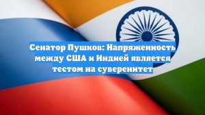 Сенатор Пушков: Напряженность между США и Индией является тестом на суверенитет