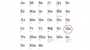 АЛФАВИТ. БУКВА "Ц"