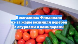 В магазинах Финляндии из-за жары возникли перебои с огурцами и помидорами
