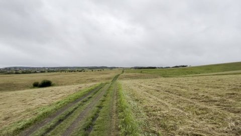 Новокузнецкий муниципальный округ