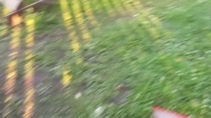 Скоро на коп!
