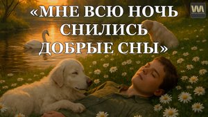 МНЕ ВСЮ НОЧЬ СНИЛИСЬ ДОБРЫЕ СНЫ - песня AI на стихи Сергея Марченко / WELES MASTER