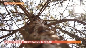 Постоянный комплексный мониторинг ситуации в лесах помогает обеспечить пожарную безопасность