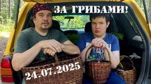 За грибами 24.07.2025