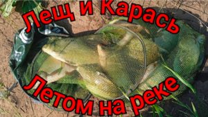 КАРАСЬ и ЛЕЩ на одну НАСАДКУ. Фидер/донка и МИНИ БОЙЛА.
