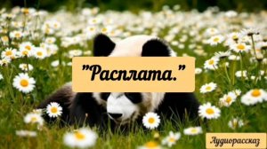 Вообще непонятно, на что мужчина надеялся.