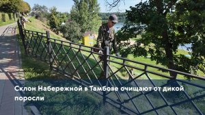 Склон Набережной в Тамбове очищают от дикой поросли