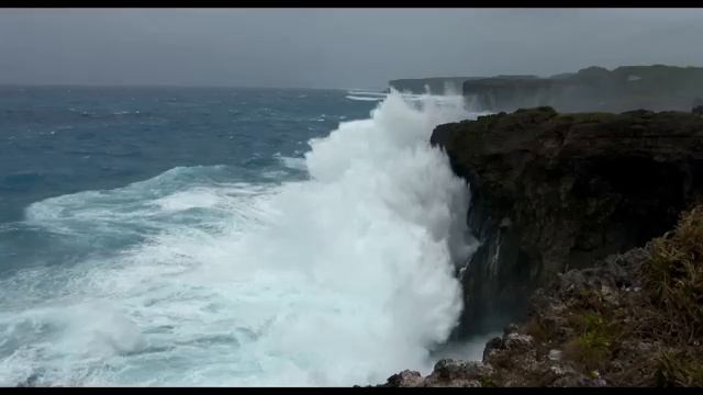 Супруги Роуз — Русский трейлер (Дубляж, 2025) Бенедикт Камбербэтч смотреть онлайн