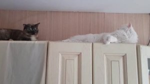 Леся и Сёма - Спортсмены