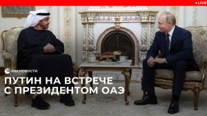Встреча Путина с президентом ОАЭ
