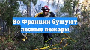 Во Франции бушуют лесные пожары