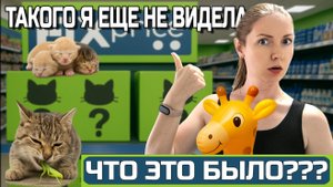 Такого я еще не видела👀ЧТО ЭТО БЫЛО???🧐