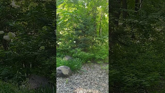 Как посмотреть на проблему с других уровней бытия?