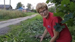 "Пирог" из железок и электрики под свесом крыши. Укрощение ивы и клена. Жизнь в деревне. Август 2025