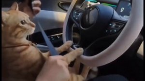 Создаем свою игру на телефоне Struckd #struckd