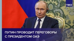 Путин проводит переговоры с президентом ОАЭ
