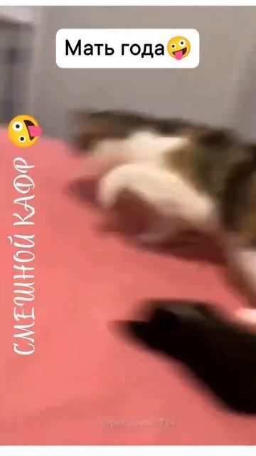 Мать года смотреть онлайн