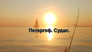 Петергоф. Судак.