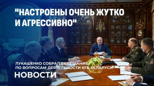 Лукашенко: агрессивно в отношении Беларуси настроены Польша и страны Балтии