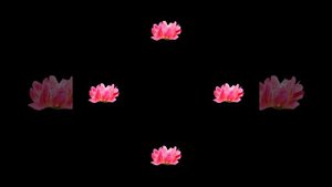 голограмма для набора TumiLumi