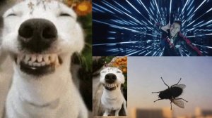 Психоделическая песня #авторскаяпесня #музыка #music #топ #рок