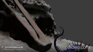 Колпочковые в чернобыле в зоне отчуждения  1 серия