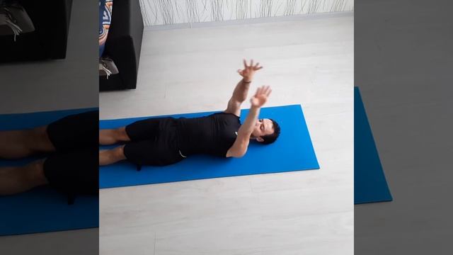 Руки и плечевой пояс 2