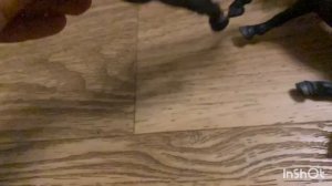 Играем в правда или действие,лошади шляйх