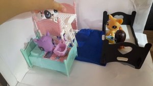 LPS в поезде