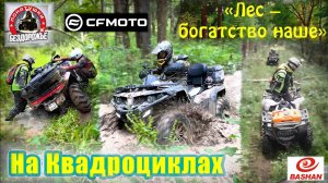 На квадроциклах пробираемся по лесу | Круговой маршрут