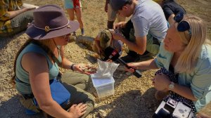 ПалеоЭкспедиция Вятского палеонтологического музея Август 2025