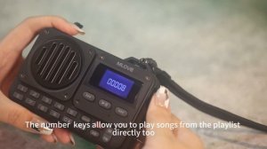 Портативная беспроводная колонка MLOVE BV800