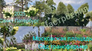 05.08.25 Санкт- Петербург.Сад-трансформер на Московской площади.Интересные идеи для садовых композий