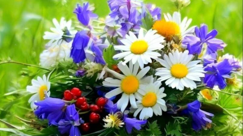 Доброго чудесного дня и настроения - Открытка смотреть онлайн