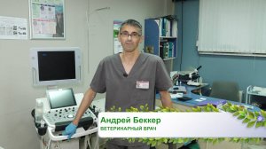 Здоровый питомец, 04.08.2025