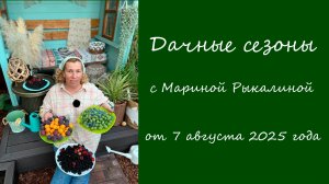 Дачные сезоны с Мариной Рыкалиной от 7 августа 2025 года