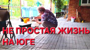 681 Купили дом на юге.За что с нас взяли деньги.Не простая жизнь на юге.