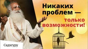 У вас нет никаких проблем — только возможности