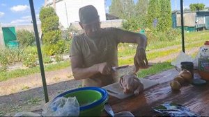 как разделить курицу