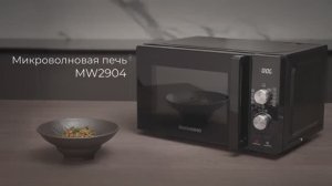 Обзор на микроволновую печь REDMOND MW2904