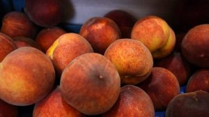 В России упал спрос на нектарины, персики и сливы