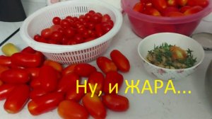 Перешагнули пик жары (надеюсь). Ищем эгоиста. Летние дела.