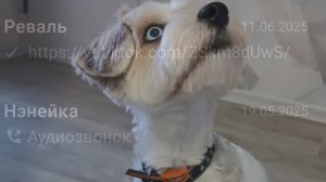 Маё какая вв