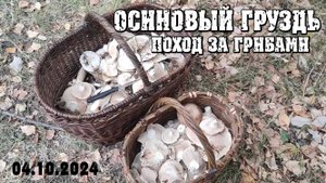 Осиновый груздь.