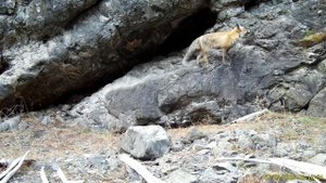 На пороге научного стационара