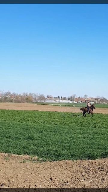 Поехали смотреть онлайн