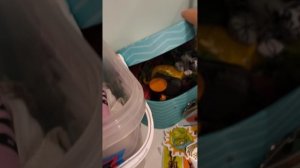 Что нужно взять для басика к бабушке?