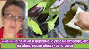 Жизнь на пенсии в деревне: с утра на огороде, что у пенсионеров на обед, после обеда - заготовки