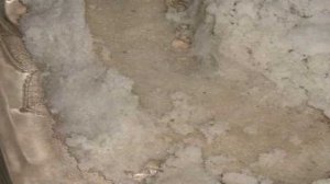 Балык свиной